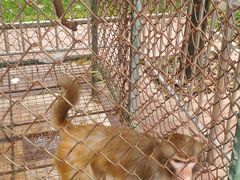 -瑞博尔花园酒店(太周创新产业园店)