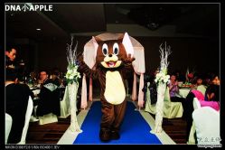 -DNA Wedding 婚礼记(上海店)