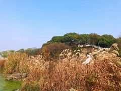 -上海市保健医疗中心(华东疗养院)
