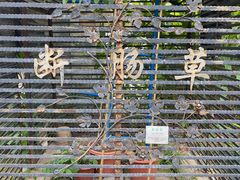 -广州神农草堂中医药博物馆