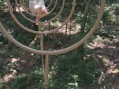 -石燕湖生态旅游景区