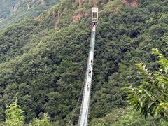 -伏羲山旅游区