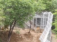 -石家庄市动物园