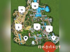 -广州长隆野生动物世界