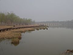 -西青郊野公园