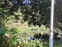 -水濂山森林公园