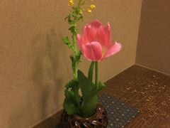 -竹叶亭(银座店)