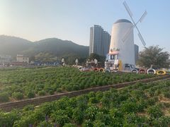 -玫瑰海岸文化旅游度假区