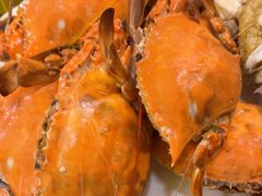 -禾斗海鲜自助(市北诺德店)