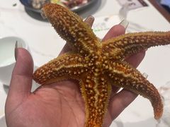 -大锅强·蒸海鲜青岛菜(吾悦广场店)