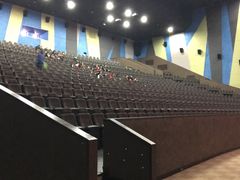 -天幕新彩云国际影城(激光巨幕店)