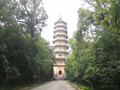 -灵谷景区