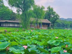 -承德避暑山庄景区