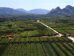 -大泽山风景名胜区