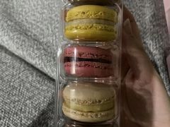 -欧佩拉(红星路店)