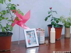 -CoCo都可(合生汇店)