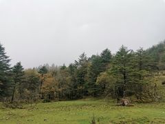 -硗碛藏寨·神木垒景区