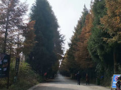 -山王坪喀斯特国家生态公园