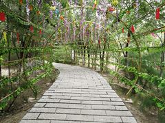-西青郊野公园