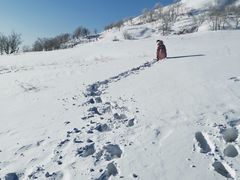-亚布力新体委滑雪场