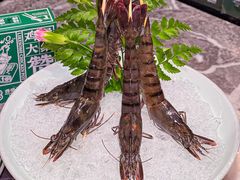 -禄婶鸡煲·打边炉