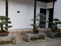 -绮园景区