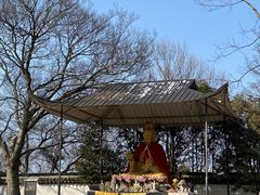 -上海佘山国家森林公园天马山园