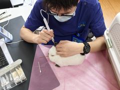 -北京观赏动物医院·24小时大型综合·猫专科·异宠专科