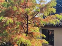 -苏州上方山国家森林公园