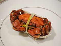 -新光酒家·河豚·海鲜·蟹料理(浦东店)