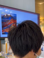 -YESIDO椰岛造型