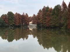 -上海海湾国家森林公园