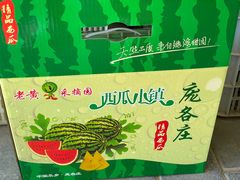 -西瓜小镇