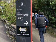 -怀托摩萤火虫洞