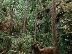 -浙江自然博物院(杭州馆)