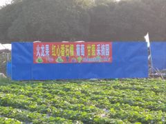 -风云岭森林公园