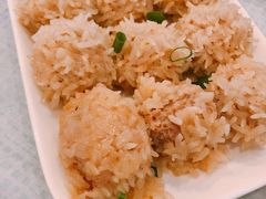珍珠丸子-湘臻