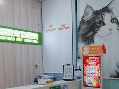 -瑞鹏宠物医院·微创内窥镜·骨外科·牙科(翠竹分院)