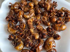 -雪野鱼头大王邢府公老店(雪野湖店)