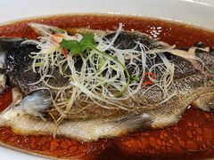 -宁味楼·西北创新融合菜(正源南街宝湖店)