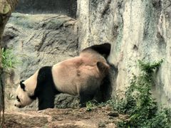 -石排湾郊野公园