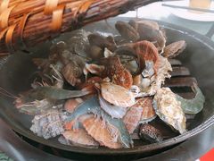 -大锅强·蒸海鲜青岛菜(吾悦广场店)