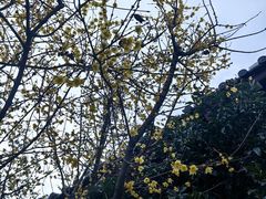 -西安华清御汤酒店