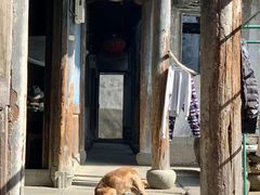 -鸣鹤古镇