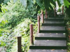 -藏龙百瀑风景区