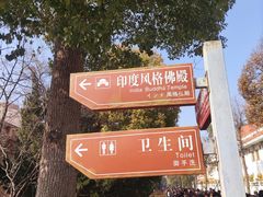 -洛阳白马寺