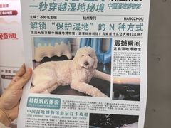 -中国湿地博物馆