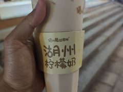 -猫的魔法密林(衣裳街店)
