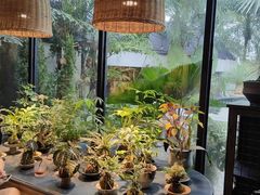 -自由生长植物工作室(深港花卉中心店)