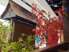 -牛New寿喜烧(闵行龙湖天街店)